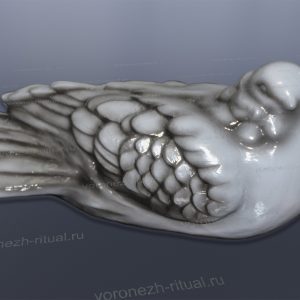 Голубь 031