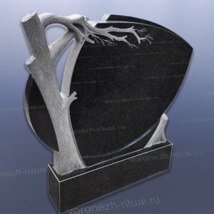 Памятник эксклюзив 001 (В)